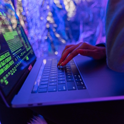 Person Using Laptop